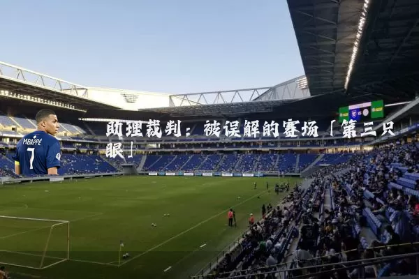 助理裁判：被误解的赛场「第三只眼」